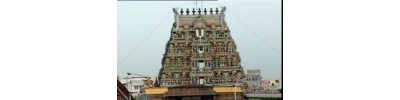 60. திருவல்லிக்கேணி (சென்னை)